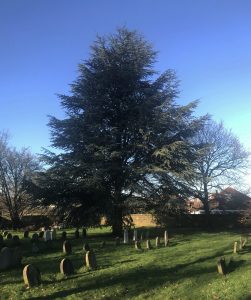 Quaker Cemetary1