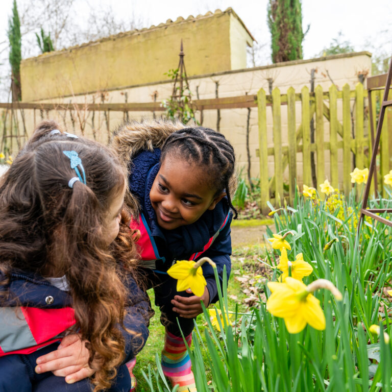 nursery students looking at daffodils